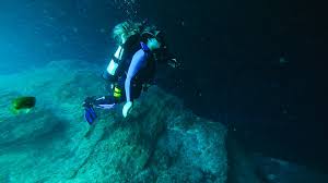 Image result for Blue Water Diving