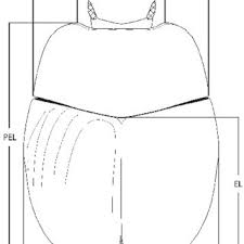 Attēlu rezultāti vaicājumam “Hypocaccus rugiceps”