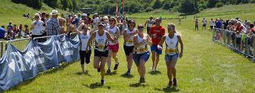Image result for Haslemere Border Athletic Club