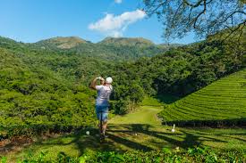 Image result for Aberfoyle Golf Club