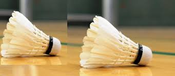 Image result for Burton Badminton Club