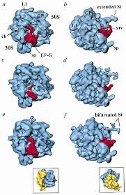 Image result for  f g   C g  p  