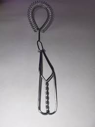 Image result for nigella whisk