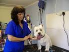 Some breeds of dogs take far - via Daymix