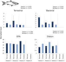 Image result for Chelon dumerili