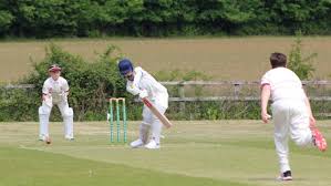 Image result for Harlow Cricket Club