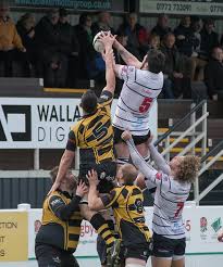Image result for Grasshoppers Rfc