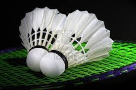 Image result for Dalton (Yorkshire) Badminton Club
