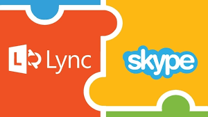 Image result for skype langsam