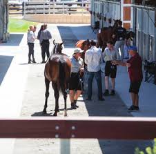 Image result for Bletchingly Badminton Club