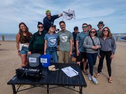 Image result for Breakwater Divers