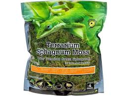 Attēlu rezultāti vaicājumam “Sphagnum”