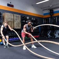 Image result for Keeping In Shape