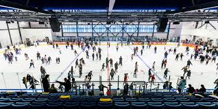 Image result for Havering Skater Hockey Club