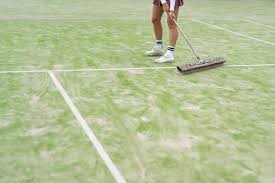 Image result for Ewell Tennis Club