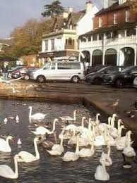 Image result for Walton On Thames Angling