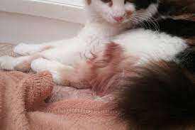 Image result for site:buyreklama.ru/*