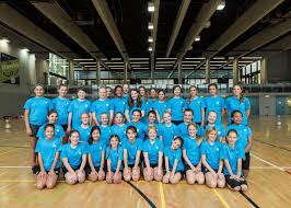 Image result for Elmbridge Netball Club