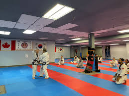 Image result for Tang Sou Dao Ren Yi Wu Kwan - Houghton & Wyton