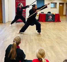 Image result for Kicking Dragon Kung Fu School, Belfast