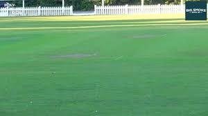 Image result for Shalford Cricket Club