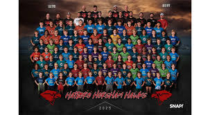 Image result for Hedingham Hawks Youth Football Club