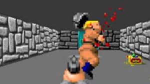Image result for wolfenstein 3d