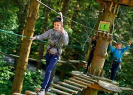 Image result for The Go Ape Experience (Swinley Forest)