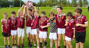 Image result for Sean Treacy`s Hurling Club