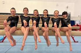 Image result for WALSALL GYMNASTICS CLUB