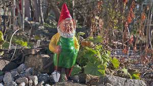 Image result for Gartenzwerg