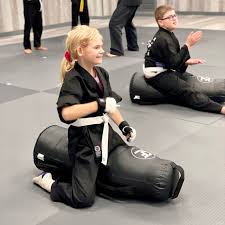 Image result for Action Karate