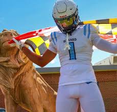 Image result for Blaenafon Barracudas Sc