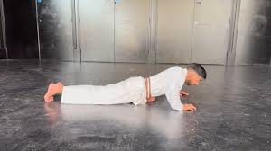 Image result for Seiki Juku Karate Club