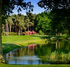Image result for Wisley Sports & Social Club