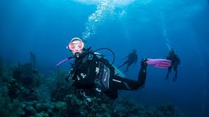 Image result for Scuba Fun