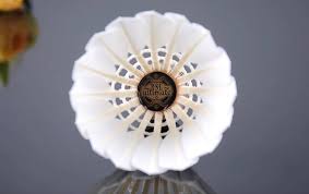Image result for Shuttlecocks Badminton Club
