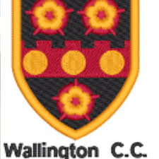 Image result for Odiham & Greywell Cricket Club