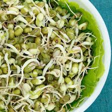 Image result for bean sprout