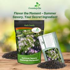 Image result for Satureja hortensis