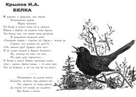 Картинки по запросу белку зажевало в диск