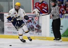 Image result for Winchester Hockey Club