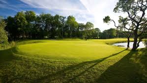 Image result for Vale Of Leven Golf Club