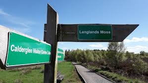 Image result for Calderglen Harriers