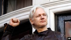 Image result for julian assange