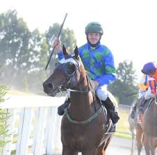 Image result for Bletchingly Badminton Club