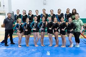 Image result for Border Counties School Of Gymnastics