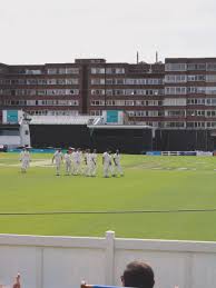 Image result for Ifield Cricket Club