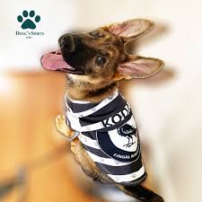 Image result for Leeds Mad Dogs