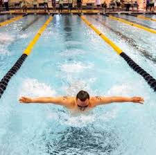 Image result for City of Preston Aquatics